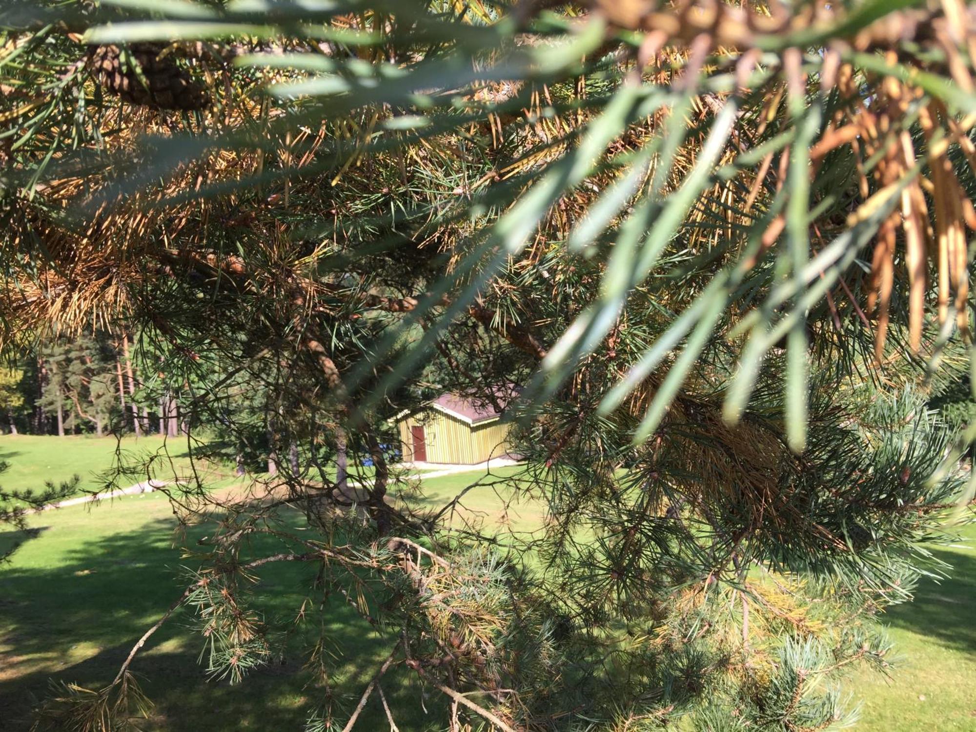 Kaimo Turizmo Sodyba Geras Leliunai Exterior foto